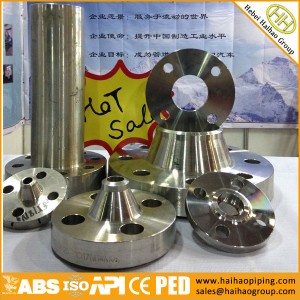 ANSI standard flanges