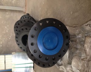 Sell ASTM A105 ANSI PL RF ,PL FF FLANGE