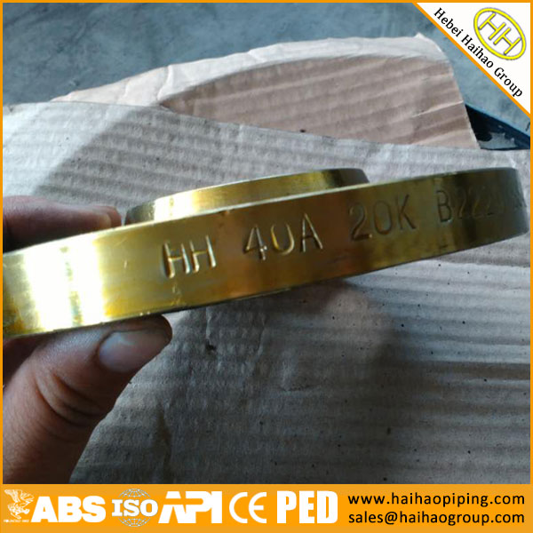 JIS B2220 Slip On Plate Flanges in Haihao Group