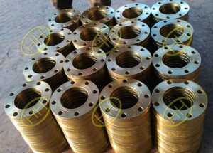 JIS B2220 standard flanges products in Haihao Group