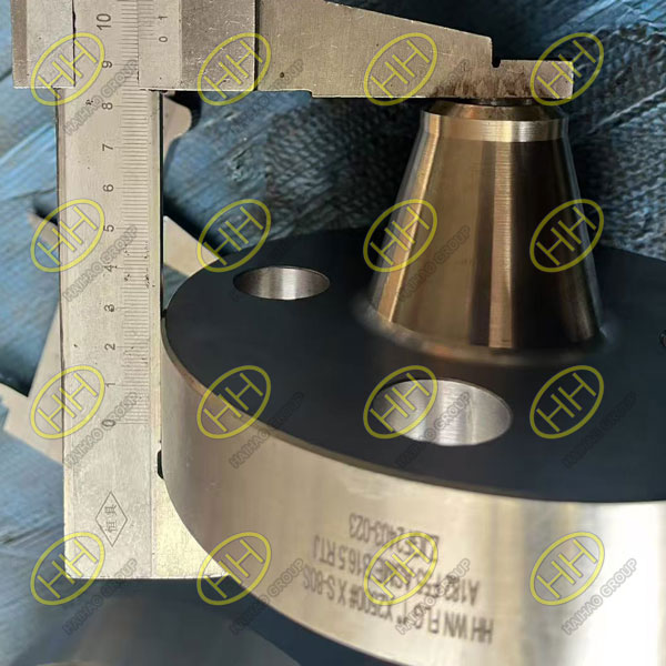 Haihao Group Supplies Super Duplex Stainless Steel WN Flange RTJ to Singapore
