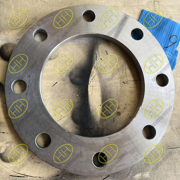 Haihao Group Supplies Flat Face Flanges to Australian Industrial Project