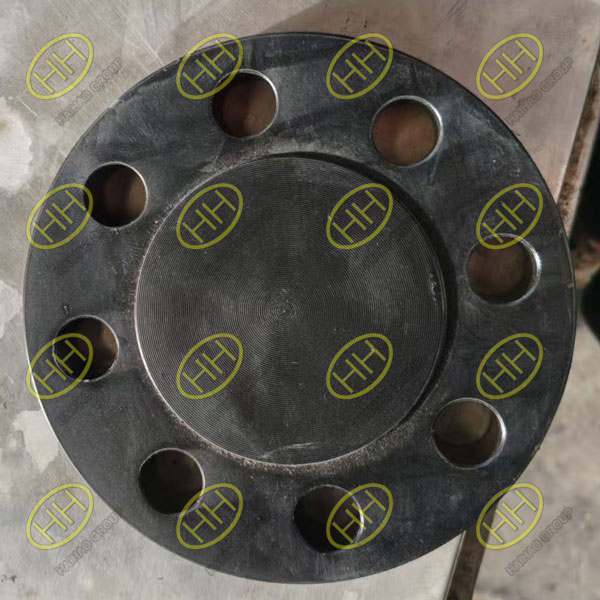 ASME B16.5 ASTM A350 LF2 CL1 Blind Flange Manufactured By Haihao Group