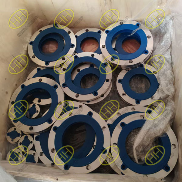 DIN 2576 Stainless Steel Flanges Shipment to Vietnam