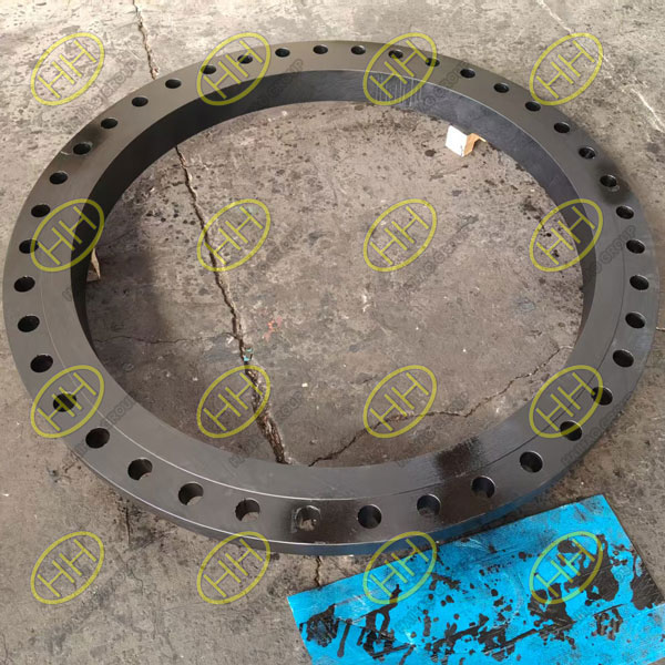 Haihao Group Supplies Large Diameter SORF Flange to Malaysia Client