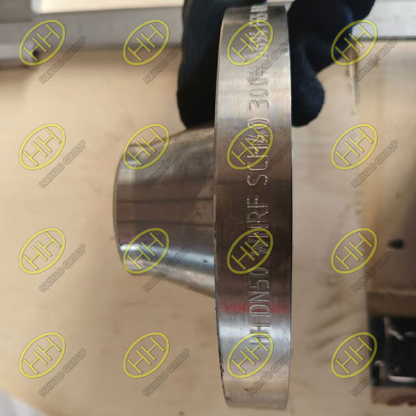 Haihao Group Delivers High-Performance WN Flanges and Blind Flanges for Industrial Pipeline Systems