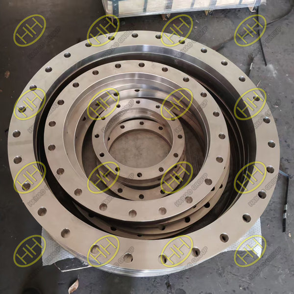 Haihao Group Supplies Custom 316L Stainless Steel Counter Flanges to Spain