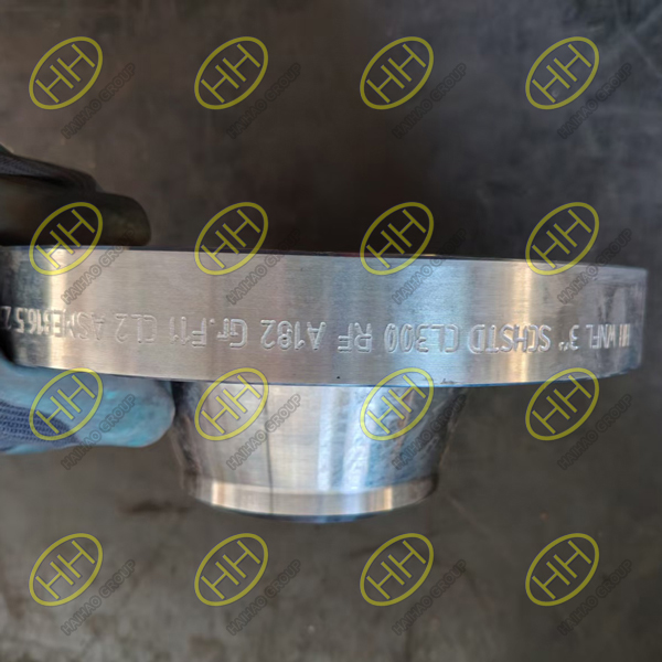 Russian Client Receives ASME B16.5 Industrial Flanges from Haihao Group