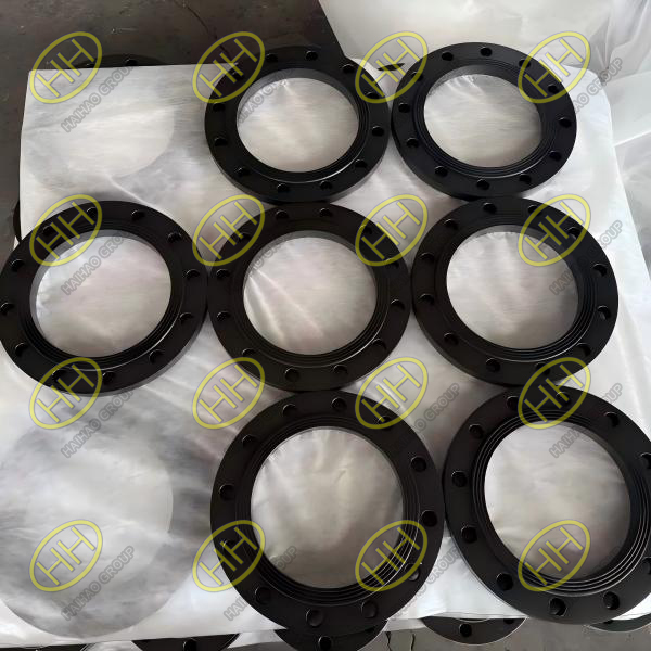 Haihao Group Supplies Carbon Steel PN16 Plate Flanges for Malaysia Pipeline Project