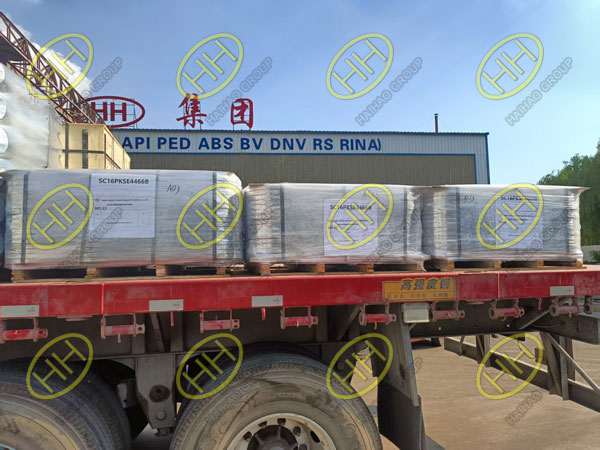 Haihao Group Delivered Custom SS304 PN16 Plate Flanges to Malaysia